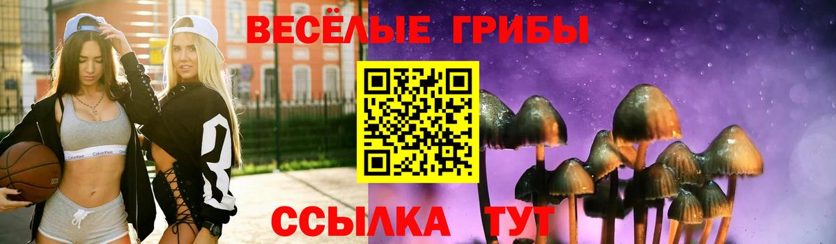 как найти закладки  Вход с VPN  Зеленокумск  Псилоцибиновые грибы мухоморы 